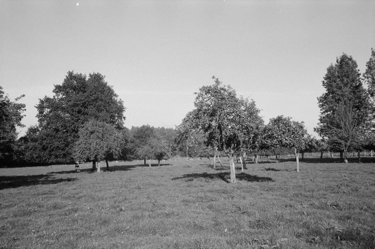 Jean Cuisenier photographie Enquête conduite par Jean Cuisenier en Basse-Normandie (14 mai 1979) Basse-Normandie, France 1979/5/14 Ph.1982.34.7 Photo