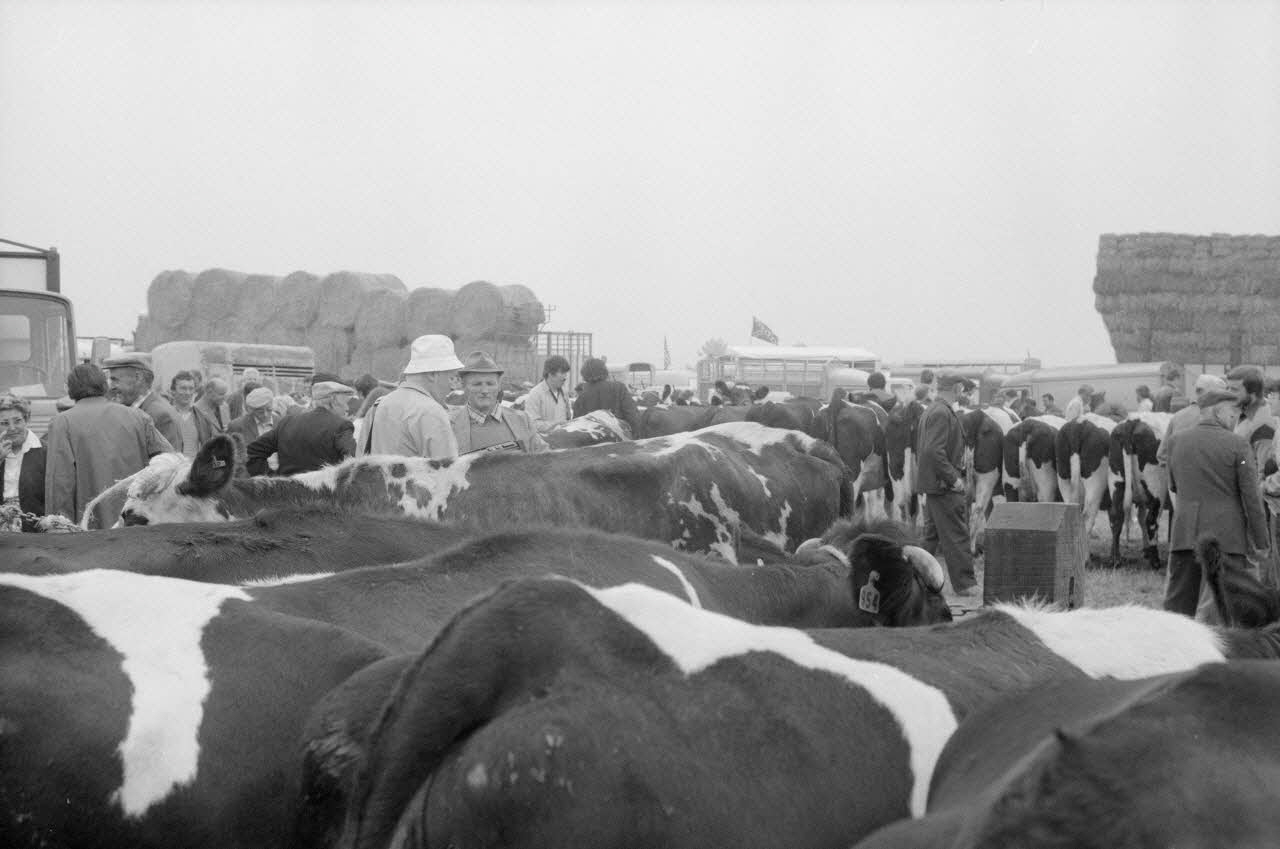 Jean Cuisenier photographie Enquête conduite par Jean Cuisenier à la Foire de Lessay dans la Manche (8 et 9 septembre 1982) Basse-Normandie, France 1982/9/8 Ph.1983.13.1 Photo