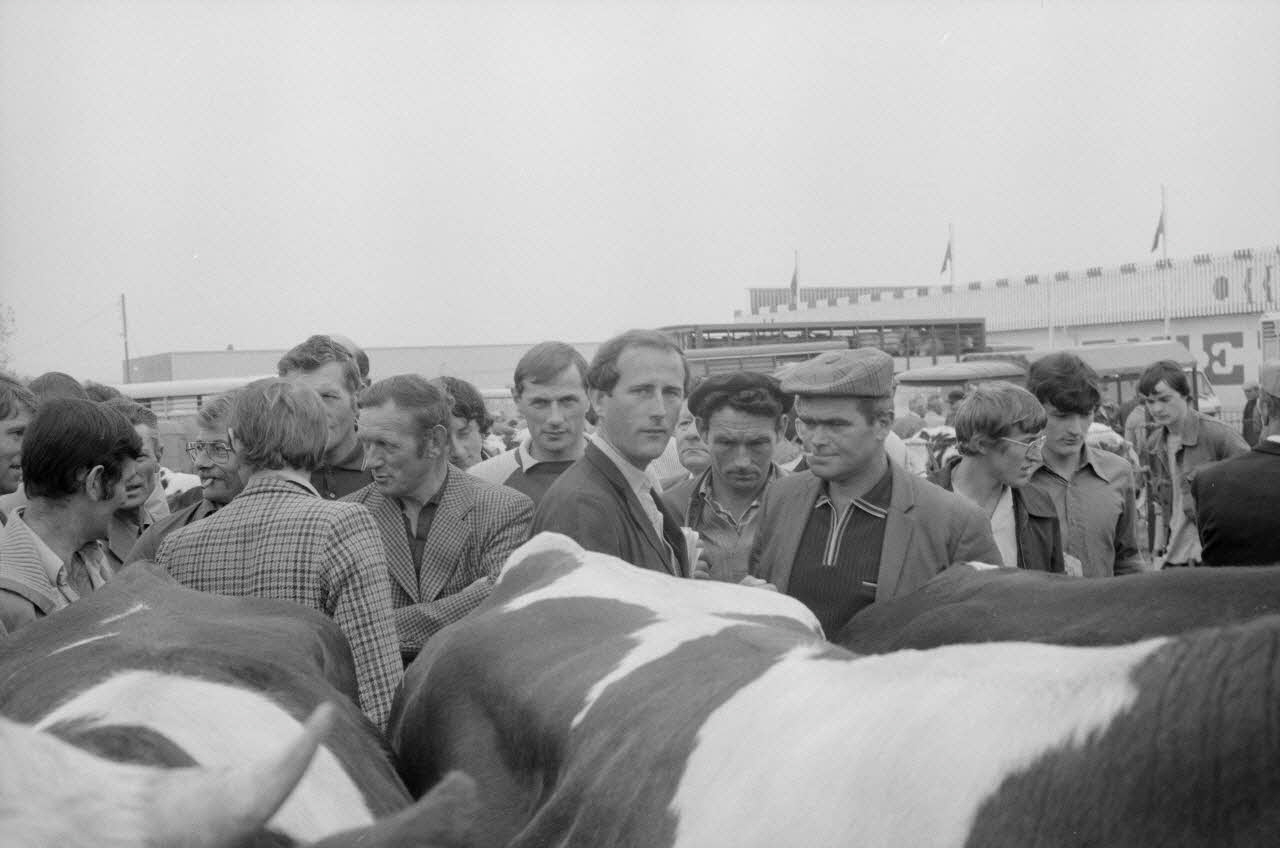 Jean Cuisenier photographie Enquête conduite par Jean Cuisenier à la Foire de Lessay dans la Manche (8 et 9 septembre 1982) Basse-Normandie, France 1982/9/8 Ph.1983.13.2 Photo