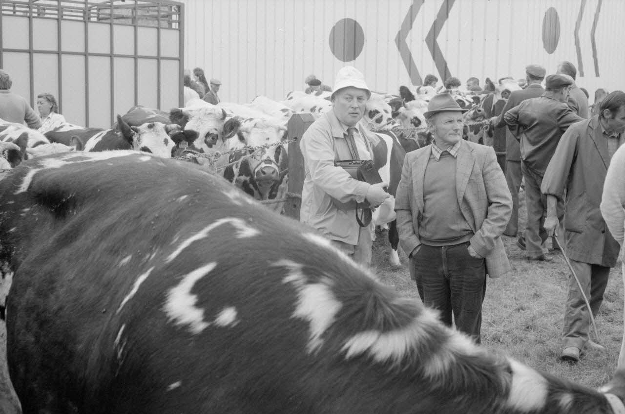 Jean Cuisenier photographie Enquête conduite par Jean Cuisenier à la Foire de Lessay dans la Manche (8 et 9 septembre 1982) Basse-Normandie, France 1982/9/8 Ph.1983.13.3 Photo