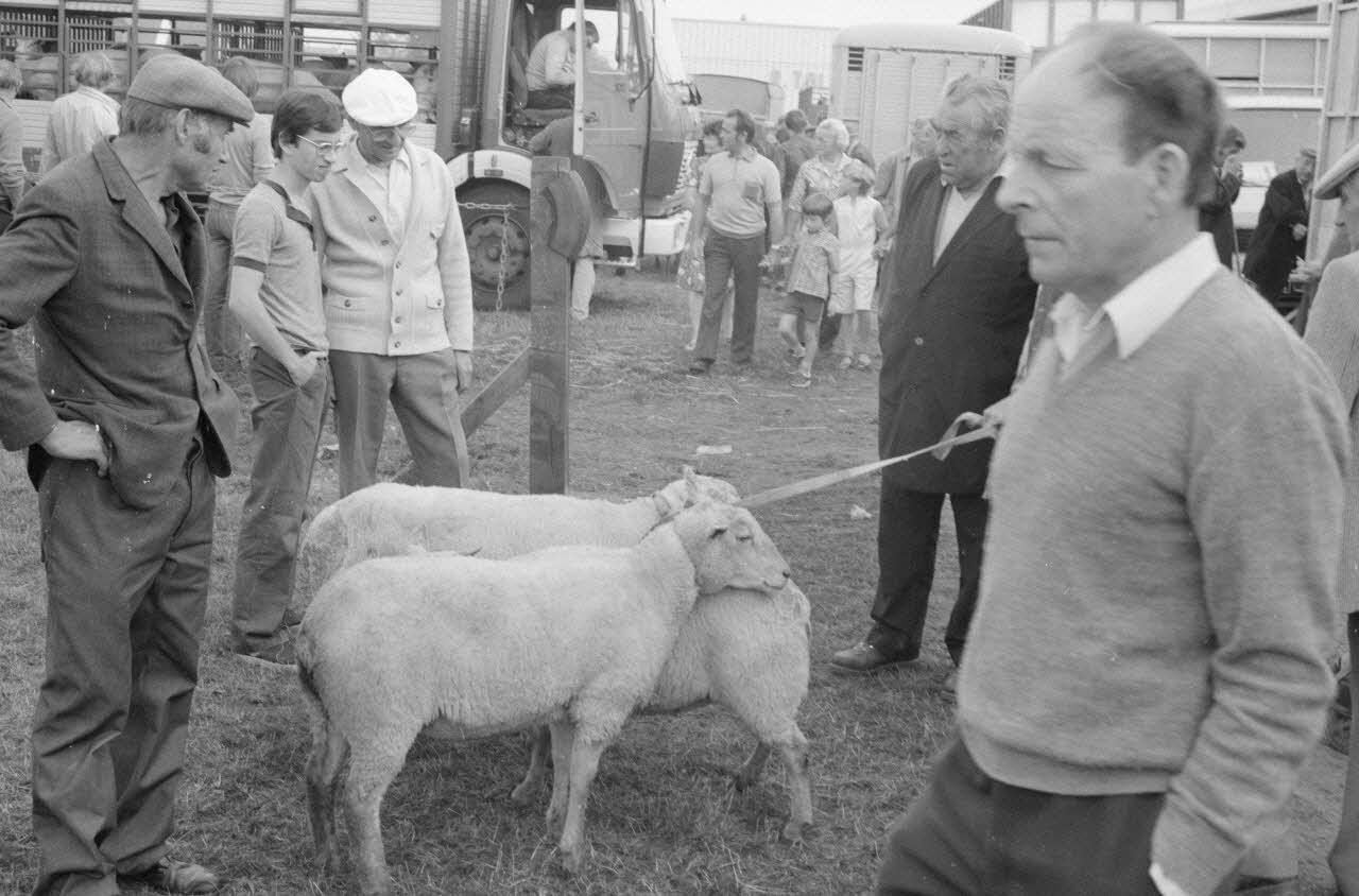Jean Cuisenier photographie Enquête conduite par Jean Cuisenier à la Foire de Lessay dans la Manche (8 et 9 septembre 1982) Basse-Normandie, France 1982/9/8 Ph.1983.13.39  Photo