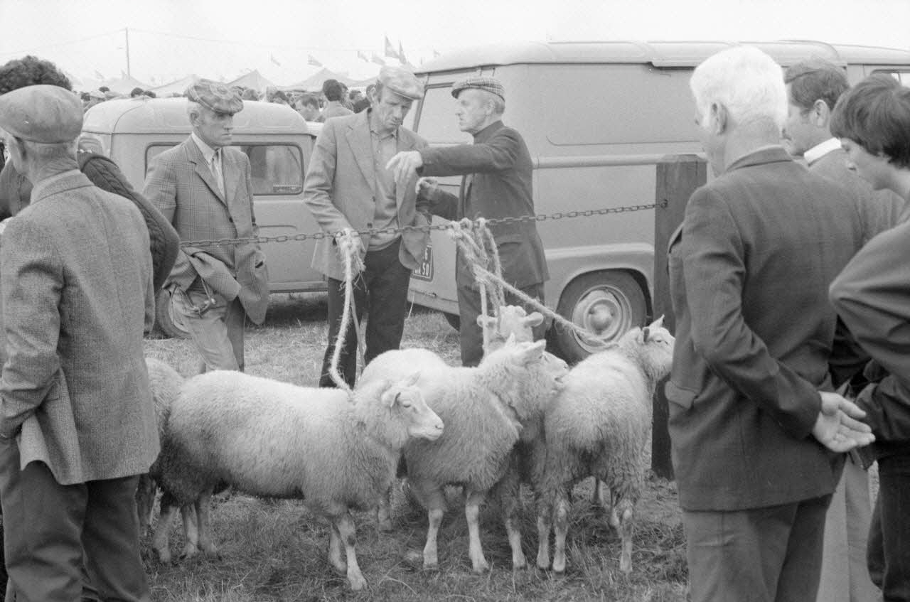 Jean Cuisenier photographie Enquête conduite par Jean Cuisenier à la Foire de Lessay dans la Manche (8 et 9 septembre 1982) Basse-Normandie, France 1982/9/8 Ph.1983.13.45  Photo