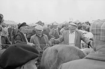 Jean Cuisenier photographie Enquête conduite par Jean Cuisenier à la Foire de Lessay dans la Manche (8 et 9 septembre 1982) Basse-Normandie, France 1982/9/8 Ph.1983.13.62  Photo