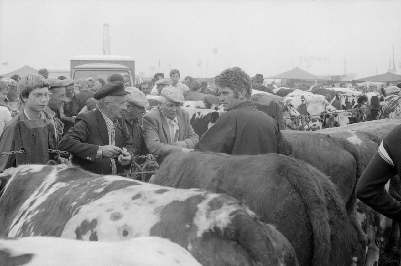 Jean Cuisenier photographie Enquête conduite par Jean Cuisenier à la Foire de Lessay dans la Manche (8 et 9 septembre 1982) Basse-Normandie, France 1982/9/8 Ph.1983.13.63  Photo