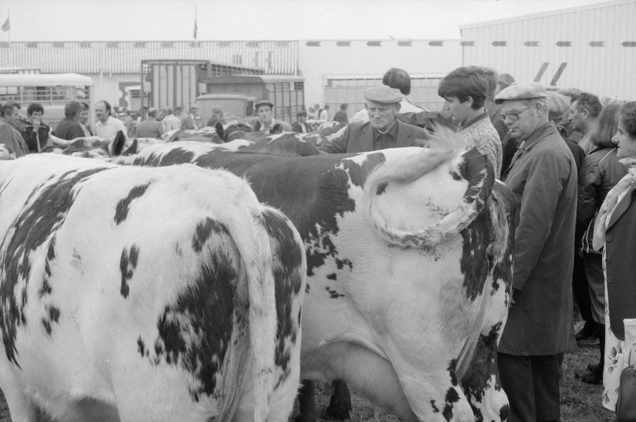 Jean Cuisenier photographie Enquête conduite par Jean Cuisenier à la Foire de Lessay dans la Manche (8 et 9 septembre 1982) Basse-Normandie, France 1982/9/8 Ph.1983.13.65  Photo
