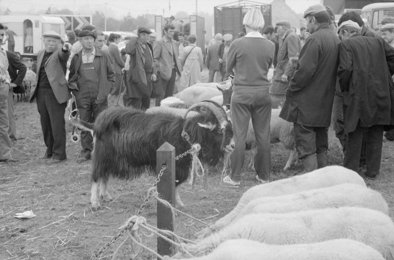 Jean Cuisenier photographie Enquête conduite par Jean Cuisenier à la Foire de Lessay dans la Manche (8 et 9 septembre 1982) Basse-Normandie, France 1982/9/8 Ph.1983.13.69 Photo