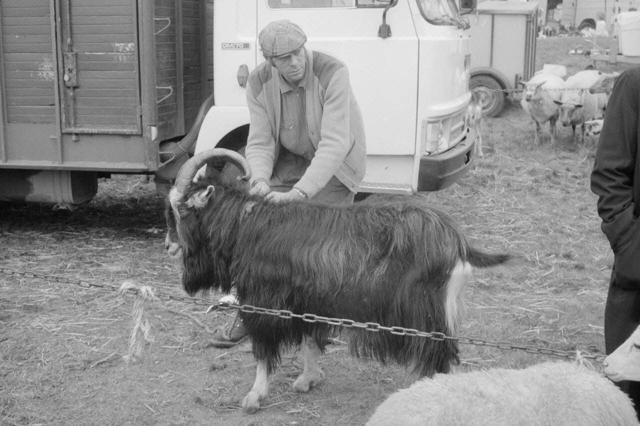 Jean Cuisenier photographie Enquête conduite par Jean Cuisenier à la Foire de Lessay dans la Manche (8 et 9 septembre 1982) Basse-Normandie, France 1982/9/8 Ph.1983.13.7 Photo