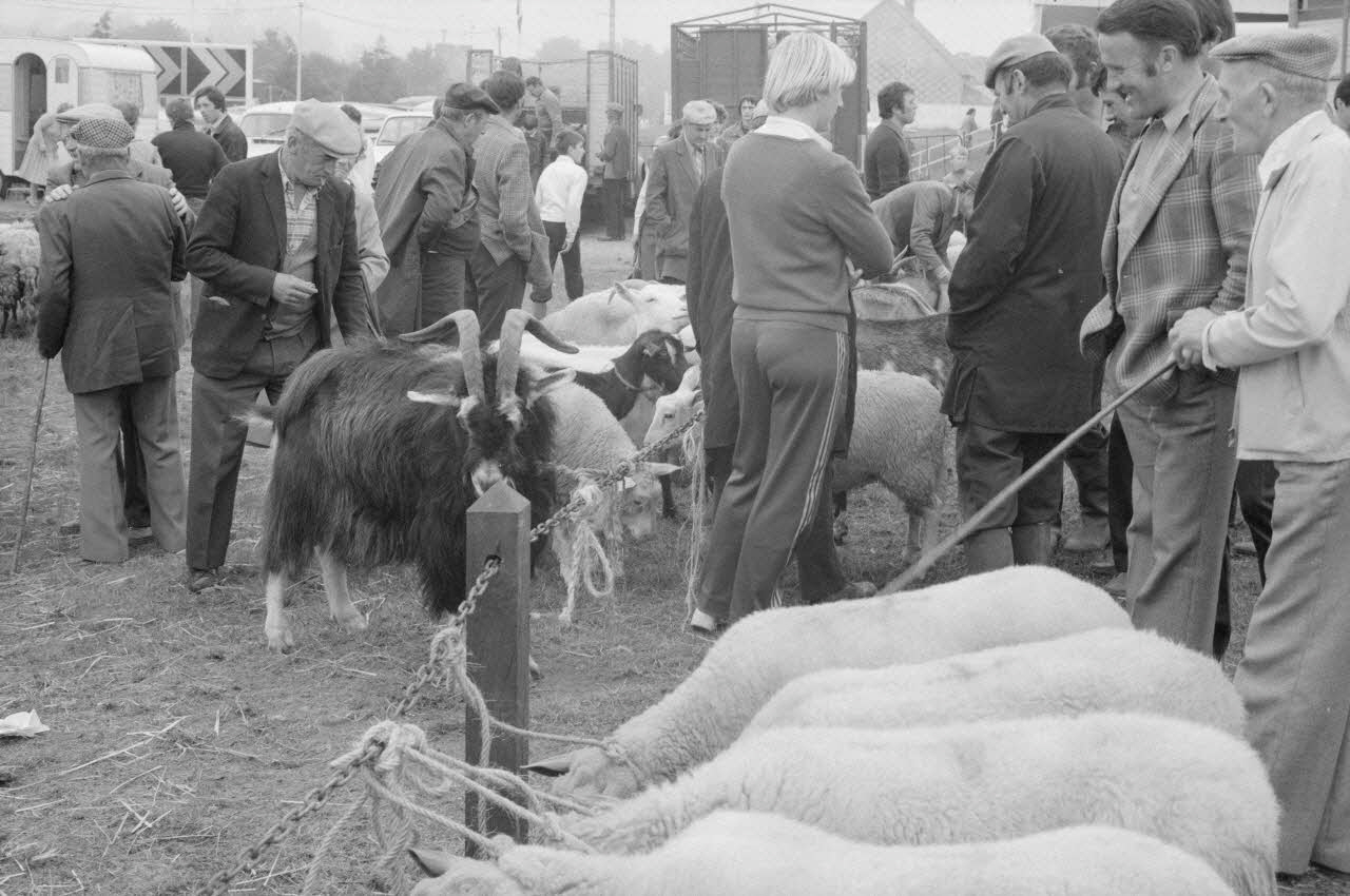 Jean Cuisenier photographie Enquête conduite par Jean Cuisenier à la Foire de Lessay dans la Manche (8 et 9 septembre 1982) Basse-Normandie, France 1982/9/8 Ph.1983.13.70 Photo
