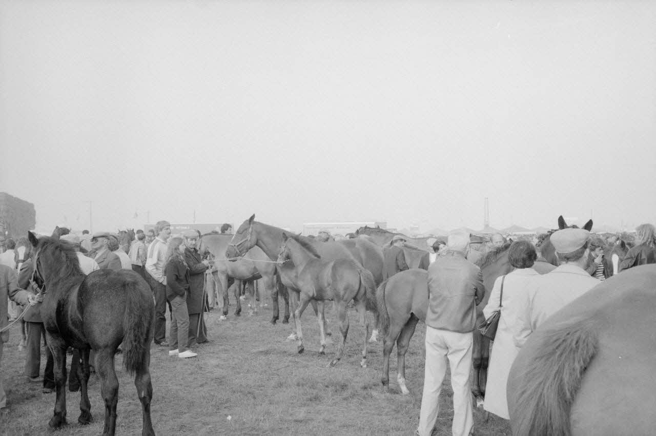 Jean Cuisenier photographie Enquête conduite par Jean Cuisenier à la Foire de Lessay dans la Manche (8 et 9 septembre 1982) Basse-Normandie, France 1982/9/8 Ph.1983.13.73  Photo