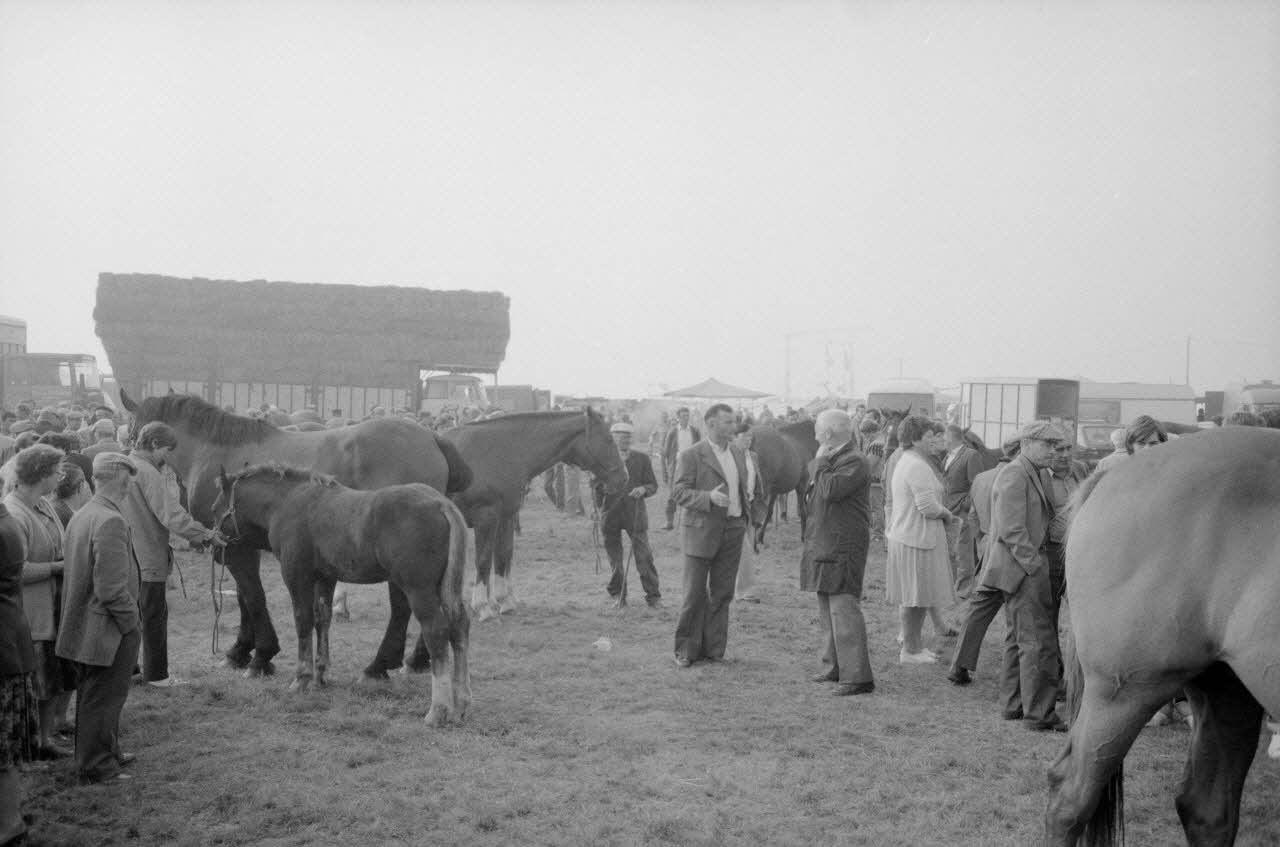 Jean Cuisenier photographie Enquête conduite par Jean Cuisenier à la Foire de Lessay dans la Manche (8 et 9 septembre 1982) Basse-Normandie, France 1982/9/8 Ph.1983.13.74 Photo