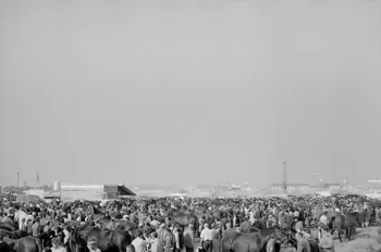 Jean Cuisenier photographie Enquête conduite par Jean Cuisenier à la Foire de Lessay dans la Manche (8 et 9 septembre 1982) Basse-Normandie, France 1982/9/8 Ph.1983.13.81  Photo