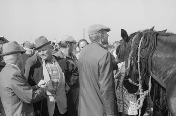 Jean Cuisenier photographie Enquête conduite par Jean Cuisenier à la Foire de Lessay dans la Manche (8 et 9 septembre 1982) Basse-Normandie, France 1982/9/8 Ph.1983.13.84  Photo