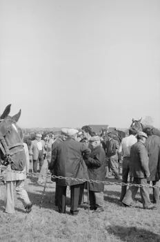 Jean Cuisenier photographie Enquête conduite par Jean Cuisenier à la Foire de Lessay dans la Manche (8 et 9 septembre 1982) Basse-Normandie, France 1982/9/8 Ph.1983.13.85  Photo
