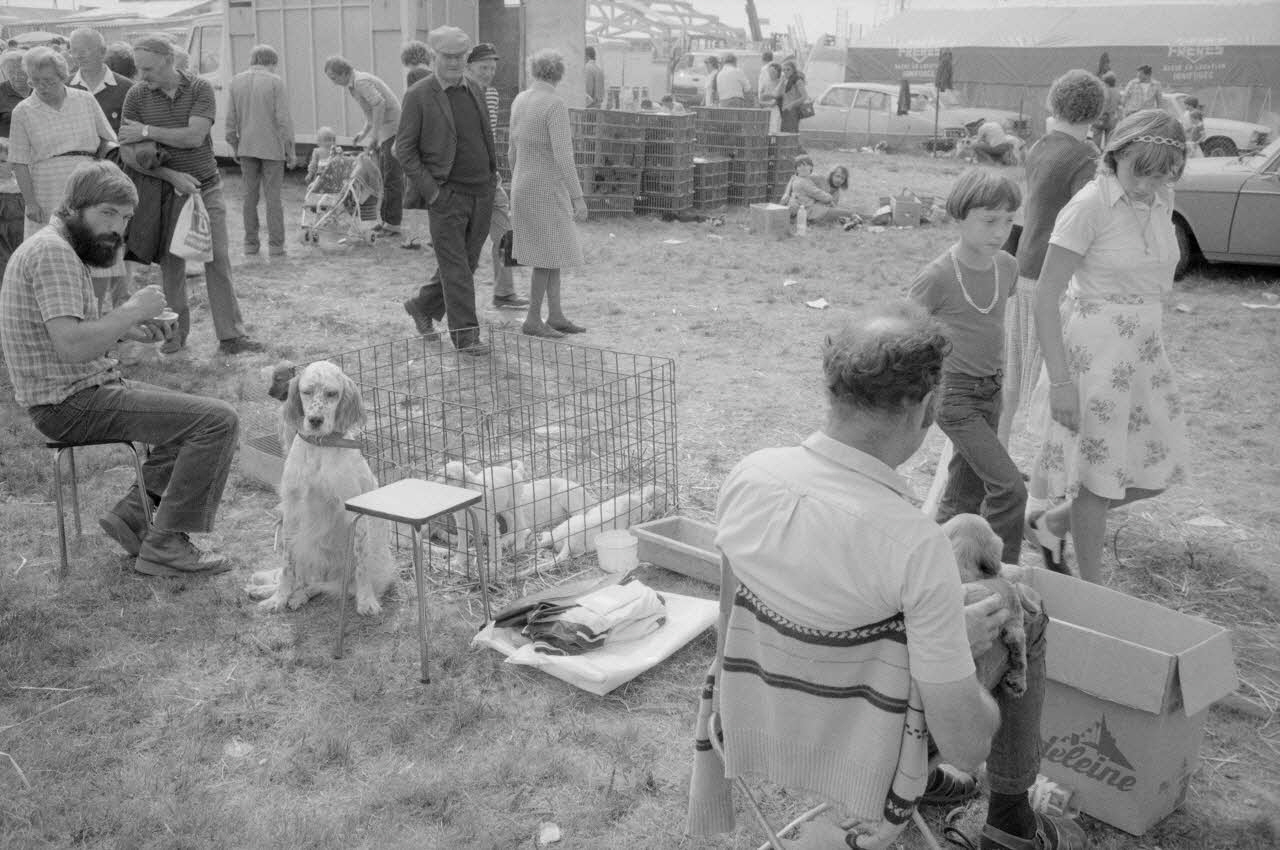 Jean Cuisenier photographie Enquête conduite par Jean Cuisenier à la Foire de Lessay dans la Manche (8 et 9 septembre 1982) Basse-Normandie, France 1982/9/8 Ph.1983.29.6 Photo