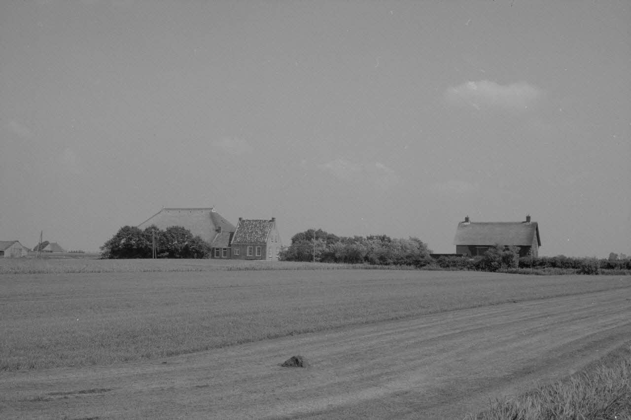 Jean Cuisenier photographie MNATP. Chantier 1425. Enquête sur l'architecture rurale de la France (1968 - 1990) Province de Frise, Pays-Bas 1982/7/3 Ph.1983.300.30 Photo
