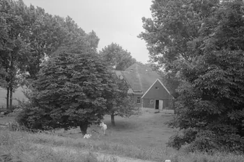 Jean Cuisenier photographie Enquête conduite par Jean Cuisenier aux Pays-Bas (du 3 au 10 juillet 1982) Province de Hollande-Septentrionale, Pays-Bas 1982/7/3 Ph.1983.300.8 Photo