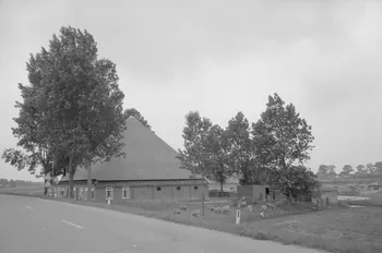 Jean Cuisenier photographie Enquête conduite par Jean Cuisenier aux Pays-Bas (du 3 au 10 juillet 1982) Province de Hollande-Septentrionale, Pays-Bas 1982/7/3 Ph.1983.300.9 Photo