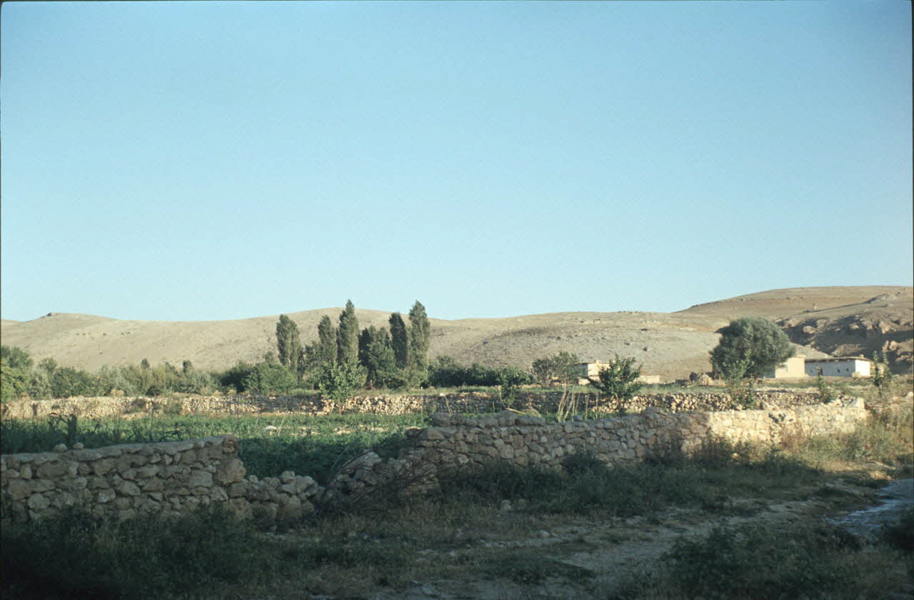 photographie MNATP. Enquête conduite par Jean Cuisenier en Turquie Ph.1984.32.113 Photo