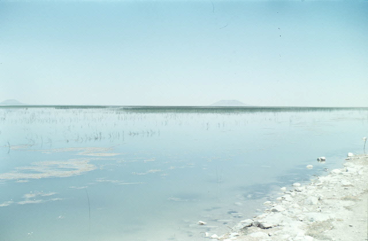 photographie MNATP. Enquête conduite par Jean Cuisenier en Turquie Ph.1984.32.87 Photo