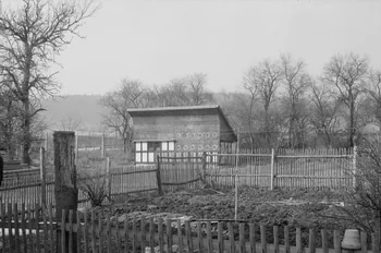 Jean Cuisenier photographie MNATP. Enquête conduite par Jean Cuisenier au Thuringen Freilicht Museum à Erfurt en Allemagne (du 19 au 22 mars 1984) Thuringe, Allemagne 1984/3/19 Ph.1984.41.21 Photo