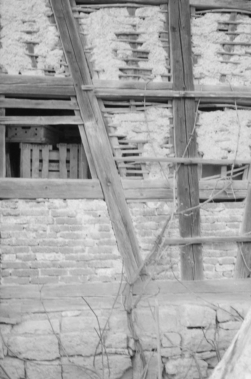 Jean Cuisenier photographie MNATP. Enquête conduite par Jean Cuisenier au Thuringen Freilicht Museum à Erfurt en Allemagne (du 19 au 22 mars 1984) Thuringe, Allemagne 1984/3/19 Ph.1984.41.28 Photo