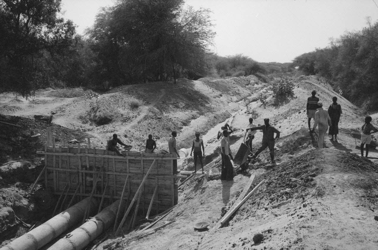 Jean Cuisenier photographie MNATP. Enquête conduite par Jean Cuisenier au Kenya (du 16 au 19 juin 1984) Kenya 1984/6/16 Ph.1984.75.47 Photo