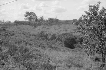Jean Cuisenier photographie MNATP. Enquête conduite par Jean Cuisenier au Kenya (du 16 au 19 juin 1984) Kenya 1984/6/16 Ph.1984.75.59 Photo