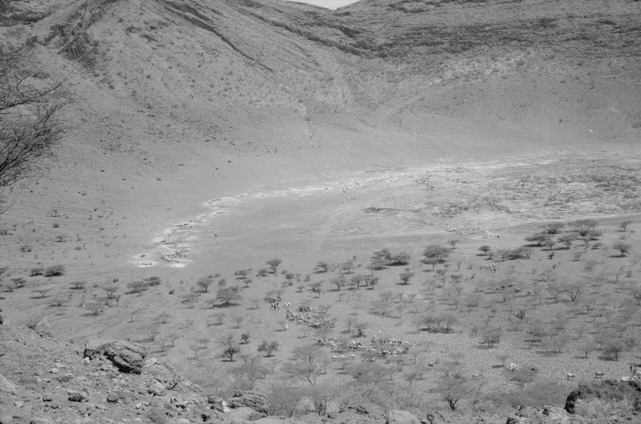 Jean Cuisenier photographie MNATP. Enquête conduite par Jean Cuisenier au Kenya (du 16 au 19 juin 1984) Kenya 1984/6/16 Ph.1984.75.7 Photo