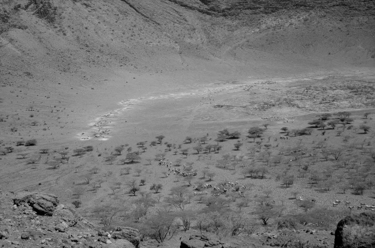 Jean Cuisenier photographie MNATP. Enquête conduite par Jean Cuisenier au Kenya (du 16 au 19 juin 1984) Kenya 1984/6/16 Ph.1984.75.9 Photo