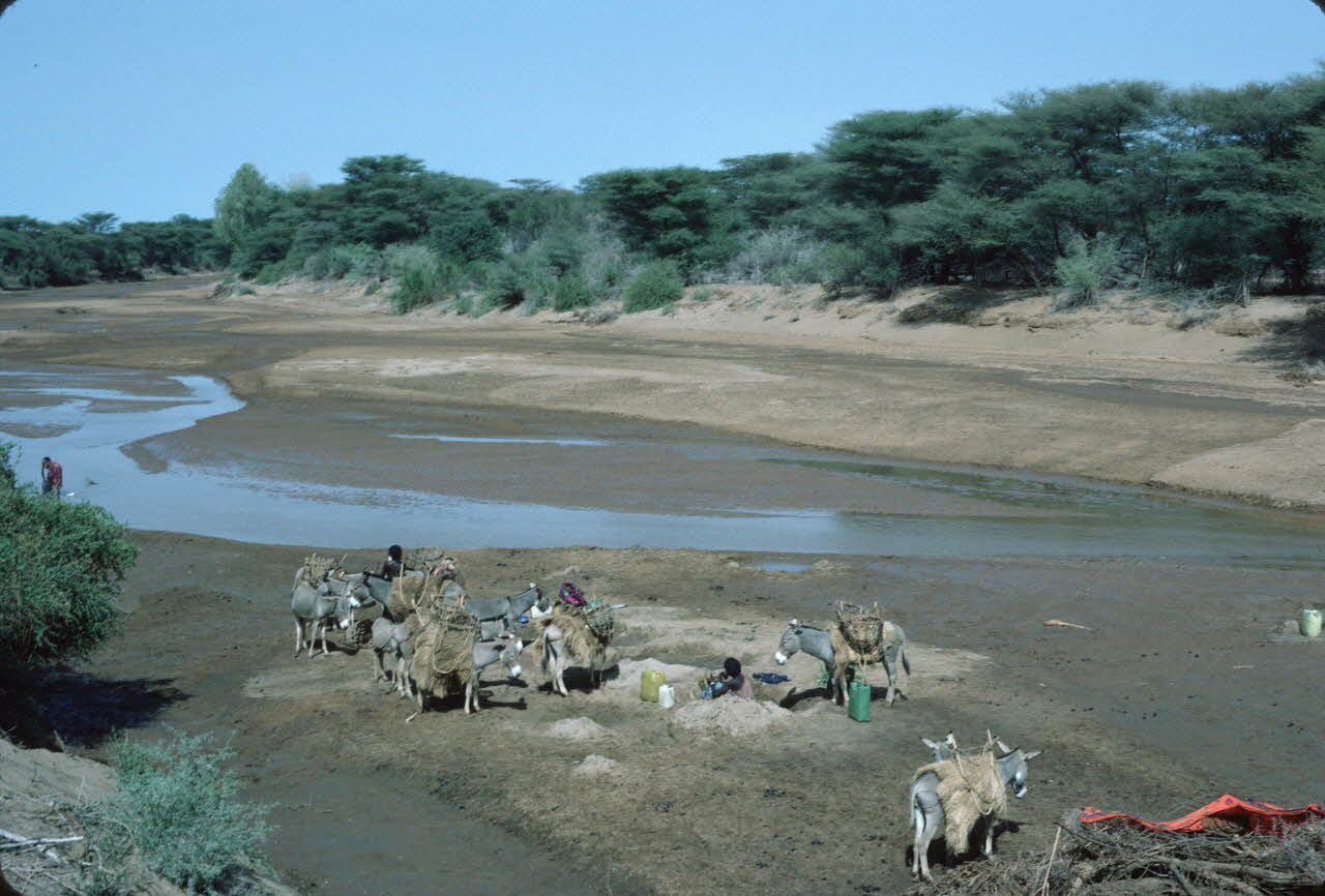 photographie Enquête conduite par Jean Cuisenier au Kenya Ph.1984.79.100 Photo