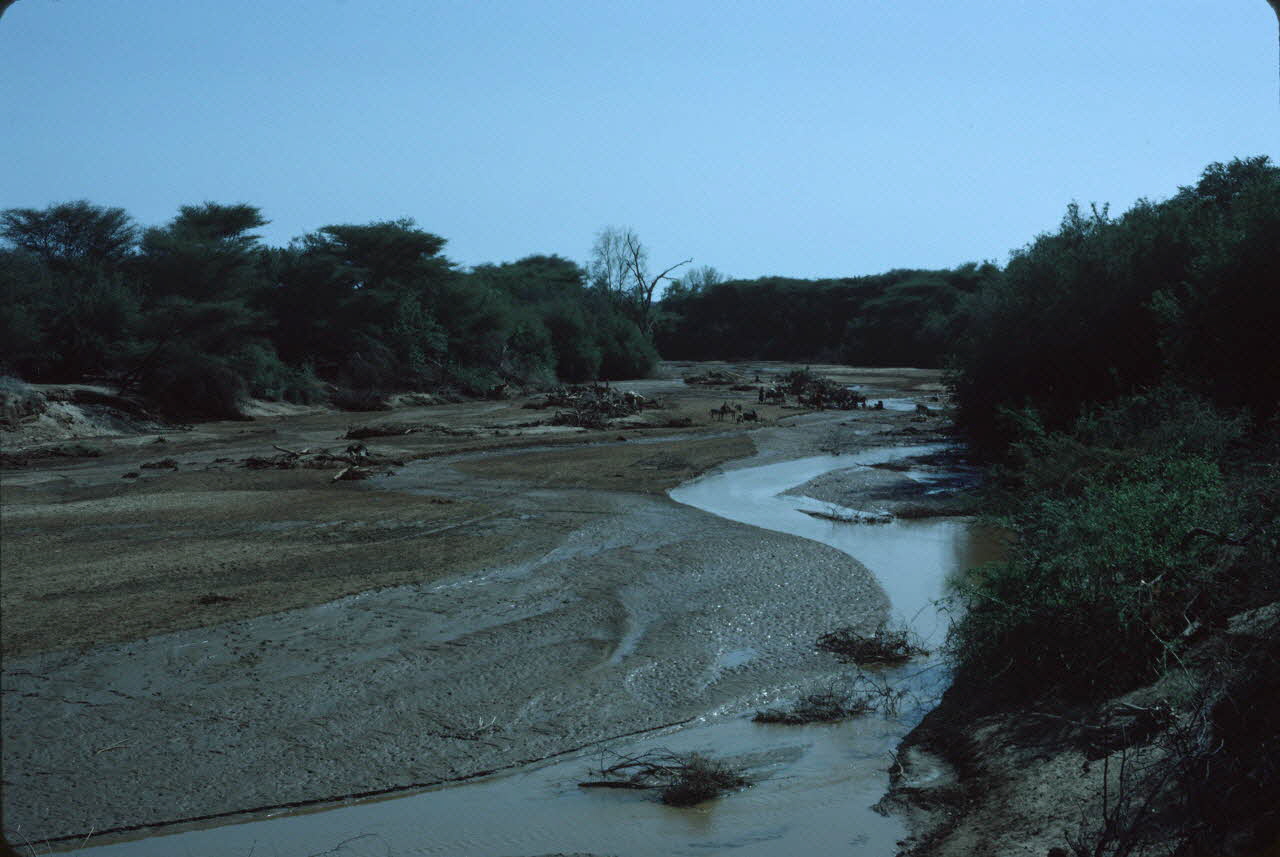 photographie Enquête conduite par Jean Cuisenier au Kenya Ph.1984.79.101 Photo