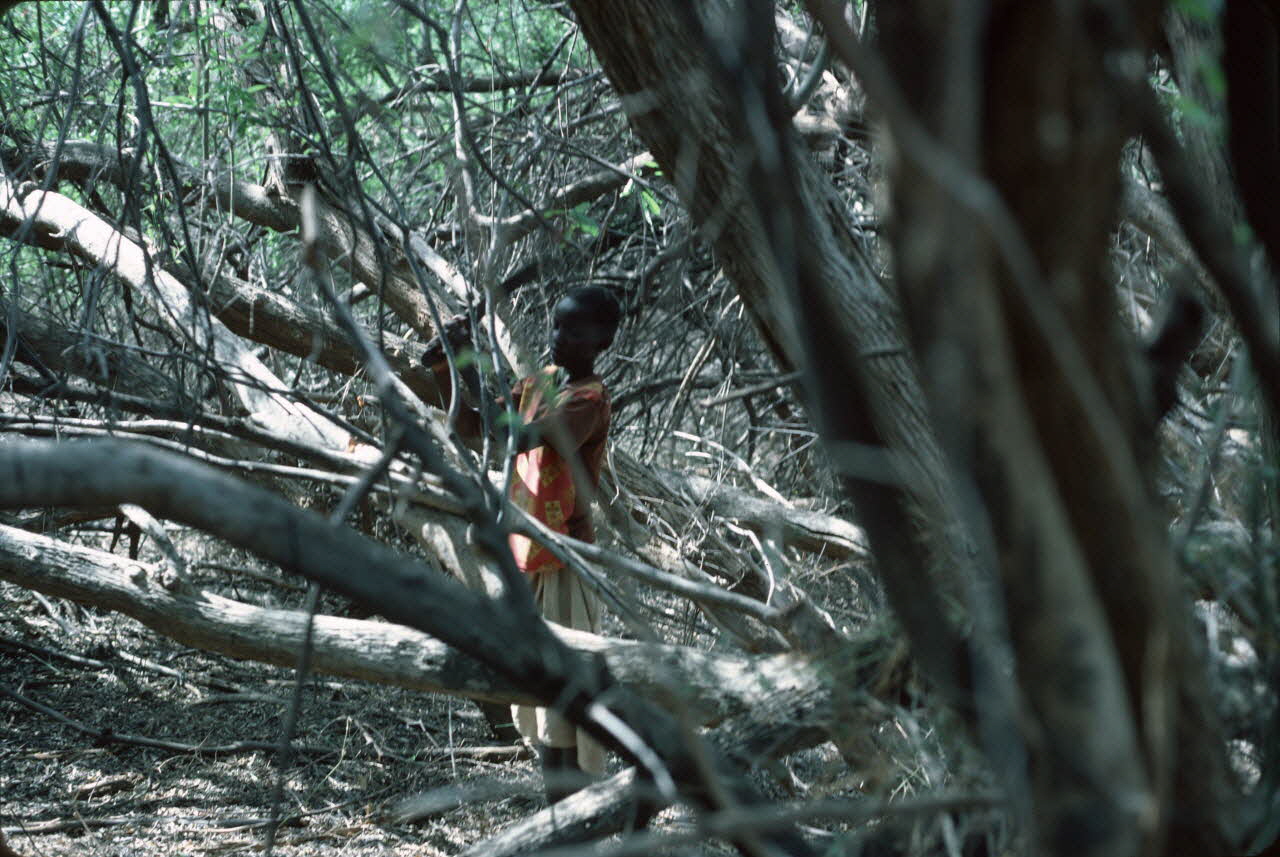 photographie Enquête conduite par Jean Cuisenier au Kenya Ph.1984.79.102 Photo
