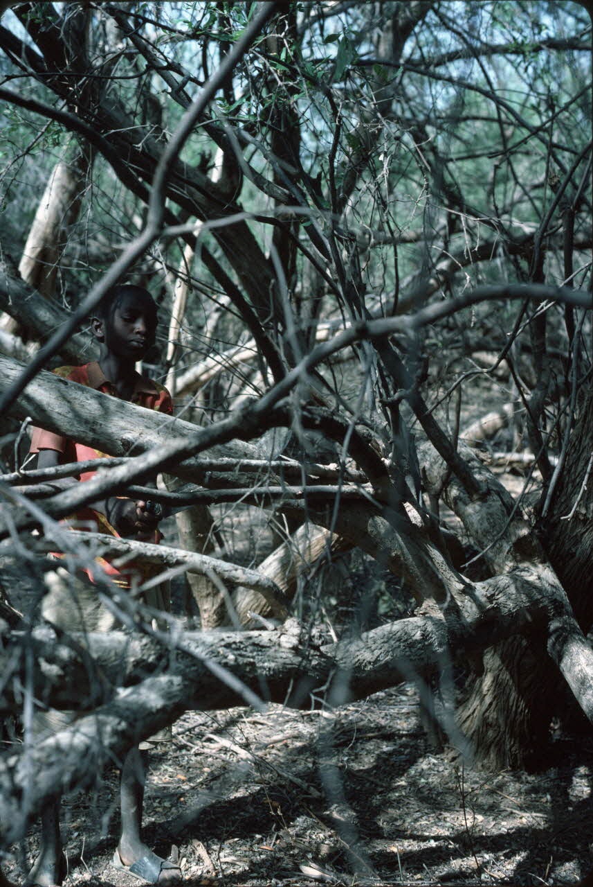 photographie Enquête conduite par Jean Cuisenier au Kenya Ph.1984.79.103 Photo