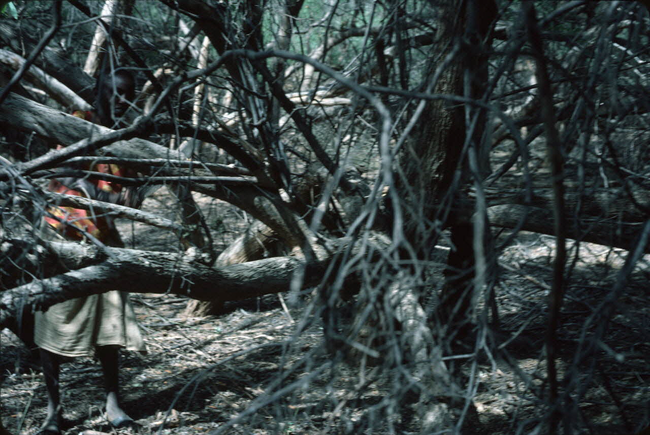 photographie Enquête conduite par Jean Cuisenier au Kenya Ph.1984.79.104 Photo