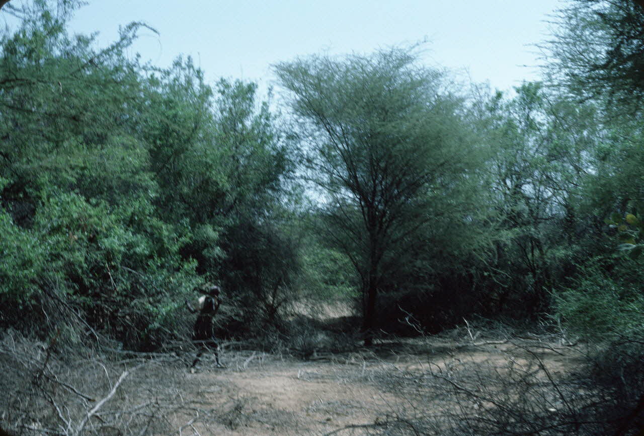 photographie Enquête conduite par Jean Cuisenier au Kenya Ph.1984.79.111 Photo