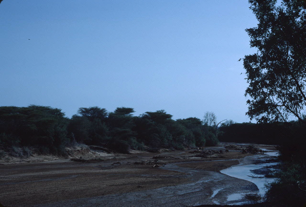 photographie Enquête conduite par Jean Cuisenier au Kenya Ph.1984.79.119 Photo
