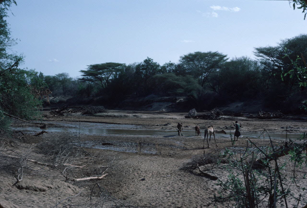 photographie Enquête conduite par Jean Cuisenier au Kenya Ph.1984.79.143 Photo