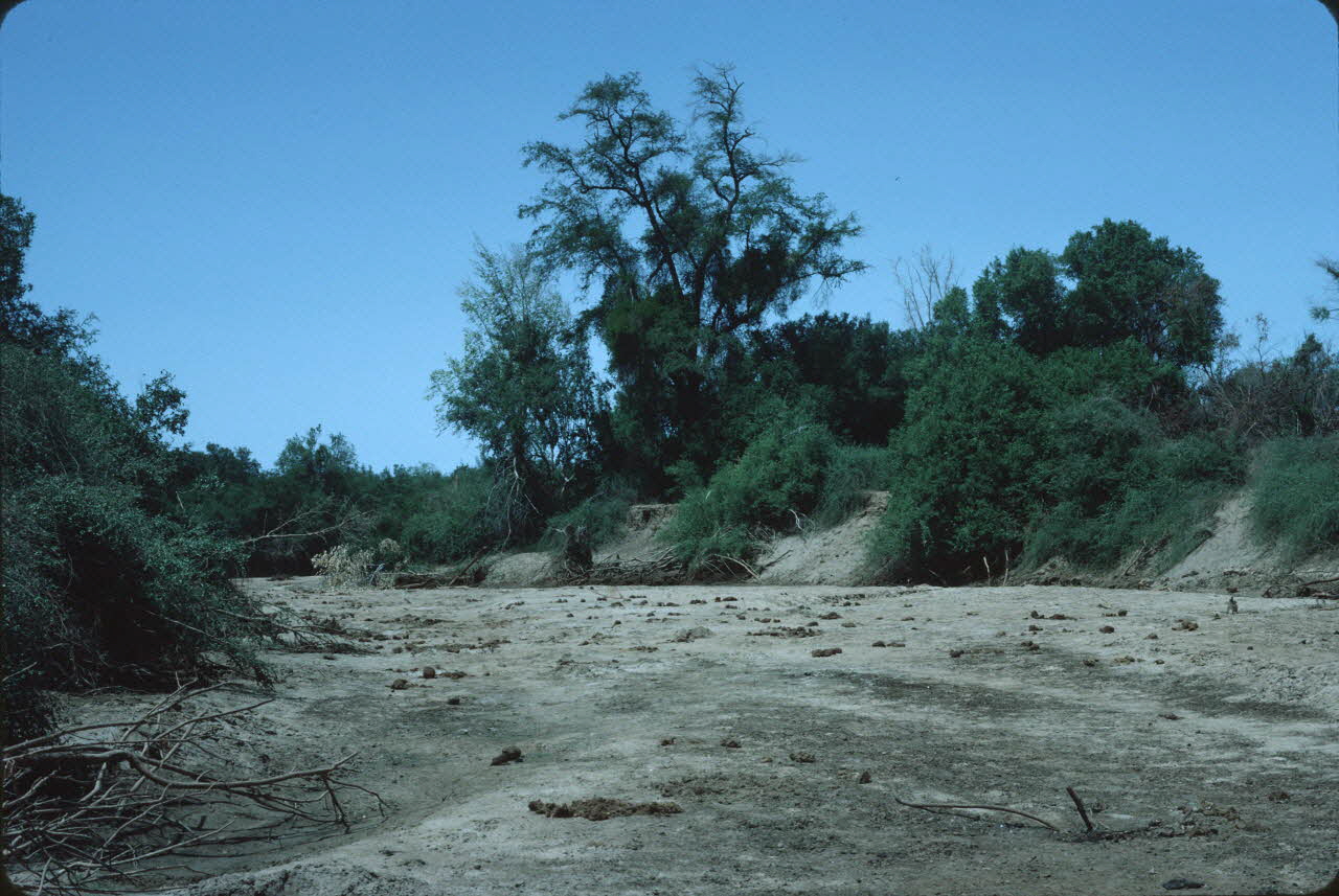 photographie Enquête conduite par Jean Cuisenier au Kenya Ph.1984.79.155  Photo