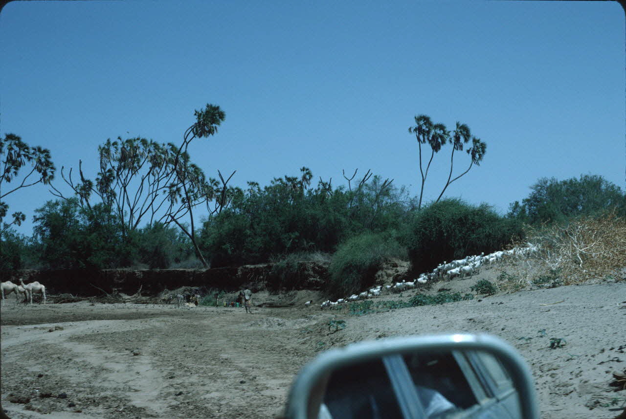 photographie Enquête conduite par Jean Cuisenier au Kenya Ph.1984.79.160  Photo
