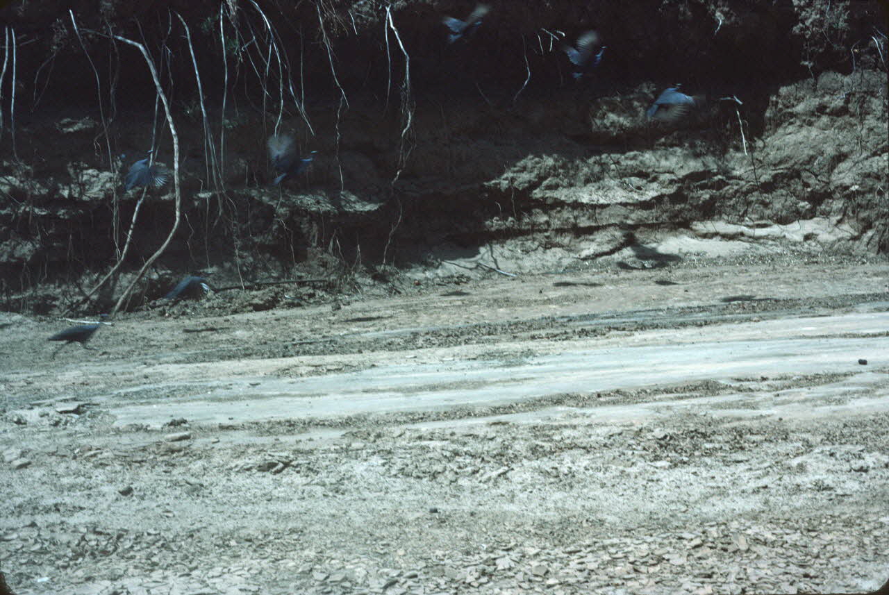 photographie Enquête conduite par Jean Cuisenier au Kenya Ph.1984.79.162 Photo