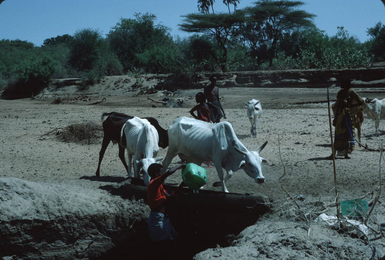 photographie Enquête conduite par Jean Cuisenier au Kenya Ph.1984.79.169 Photo