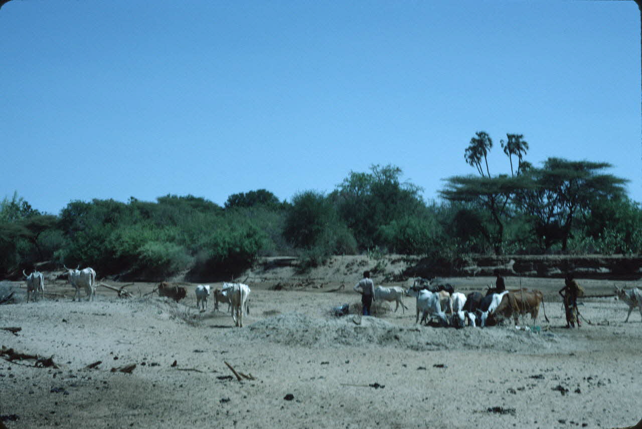 photographie Enquête conduite par Jean Cuisenier au Kenya Ph.1984.79.170 Photo