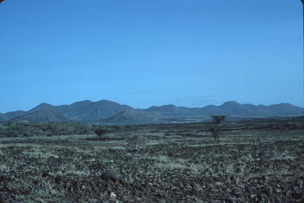 photographie Enquête conduite par Jean Cuisenier au Kenya Ph.1984.79.178 Photo