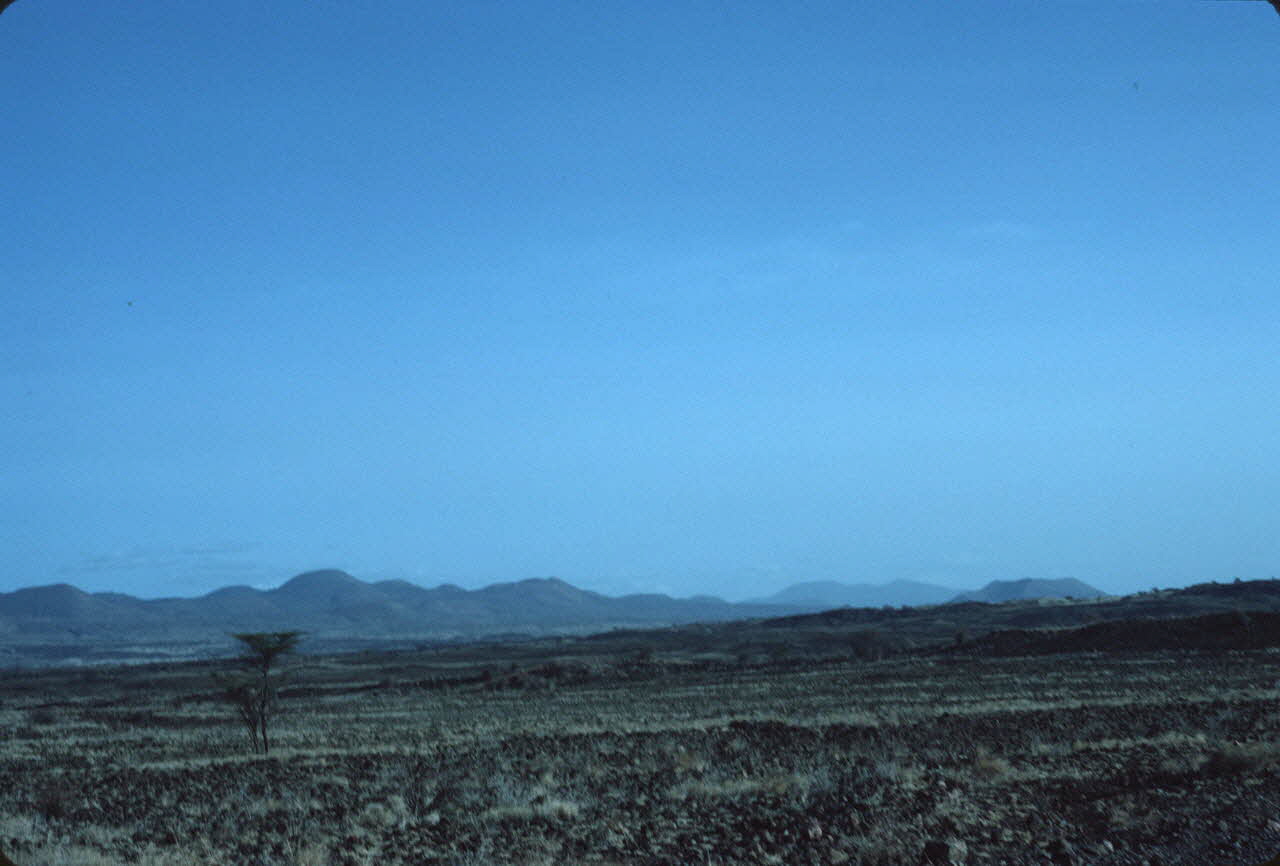 photographie Enquête conduite par Jean Cuisenier au Kenya Ph.1984.79.179 Photo