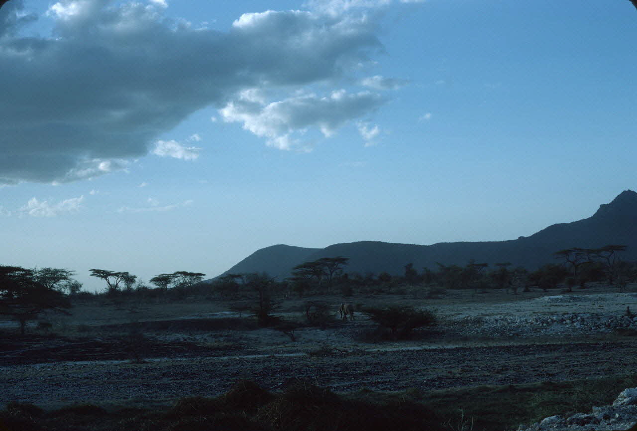 photographie Enquête conduite par Jean Cuisenier au Kenya Ph.1984.79.180 Photo