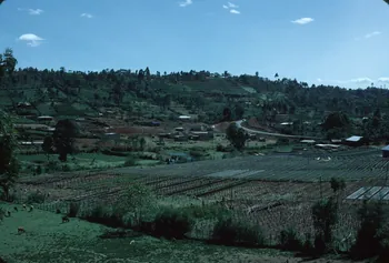 photographie Enquête conduite par Jean Cuisenier au Kenya Ph.1984.79.183 Photo