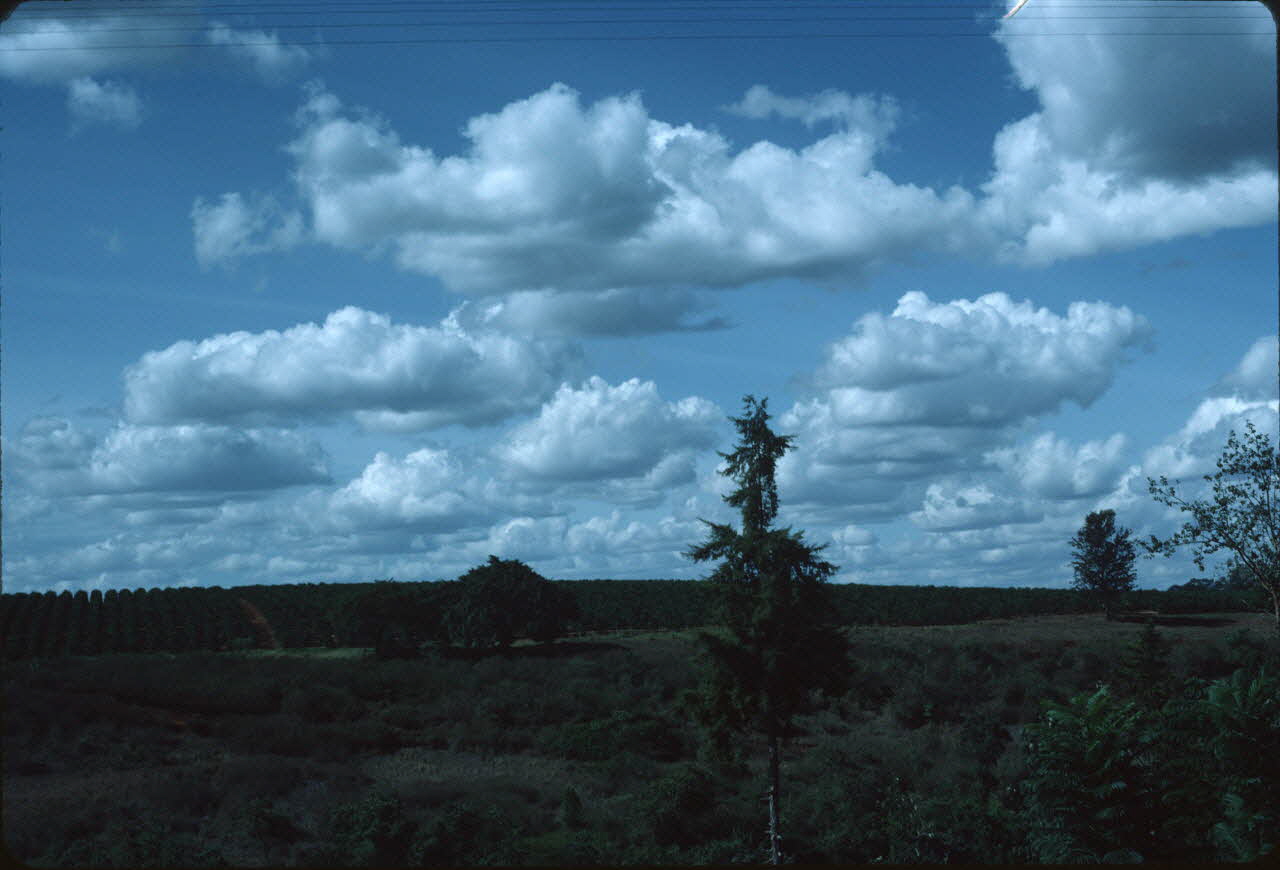 photographie Enquête conduite par Jean Cuisenier au Kenya Ph.1984.79.186 Photo