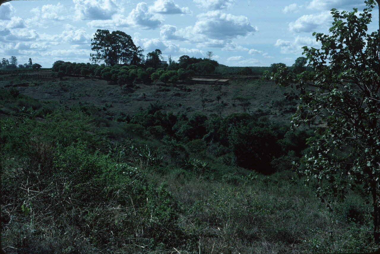 photographie Enquête conduite par Jean Cuisenier au Kenya Ph.1984.79.187 Photo