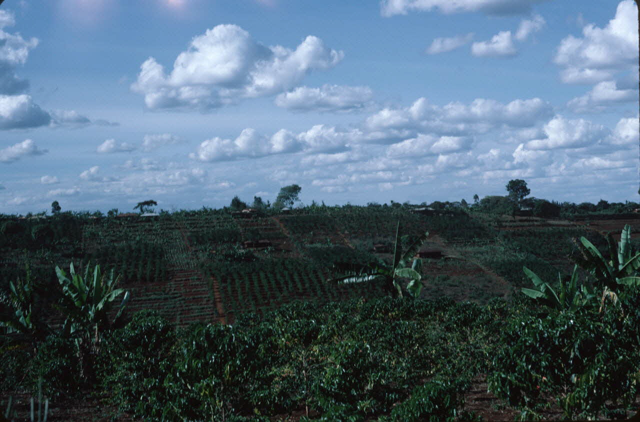 photographie Enquête conduite par Jean Cuisenier au Kenya Ph.1984.79.189 Photo