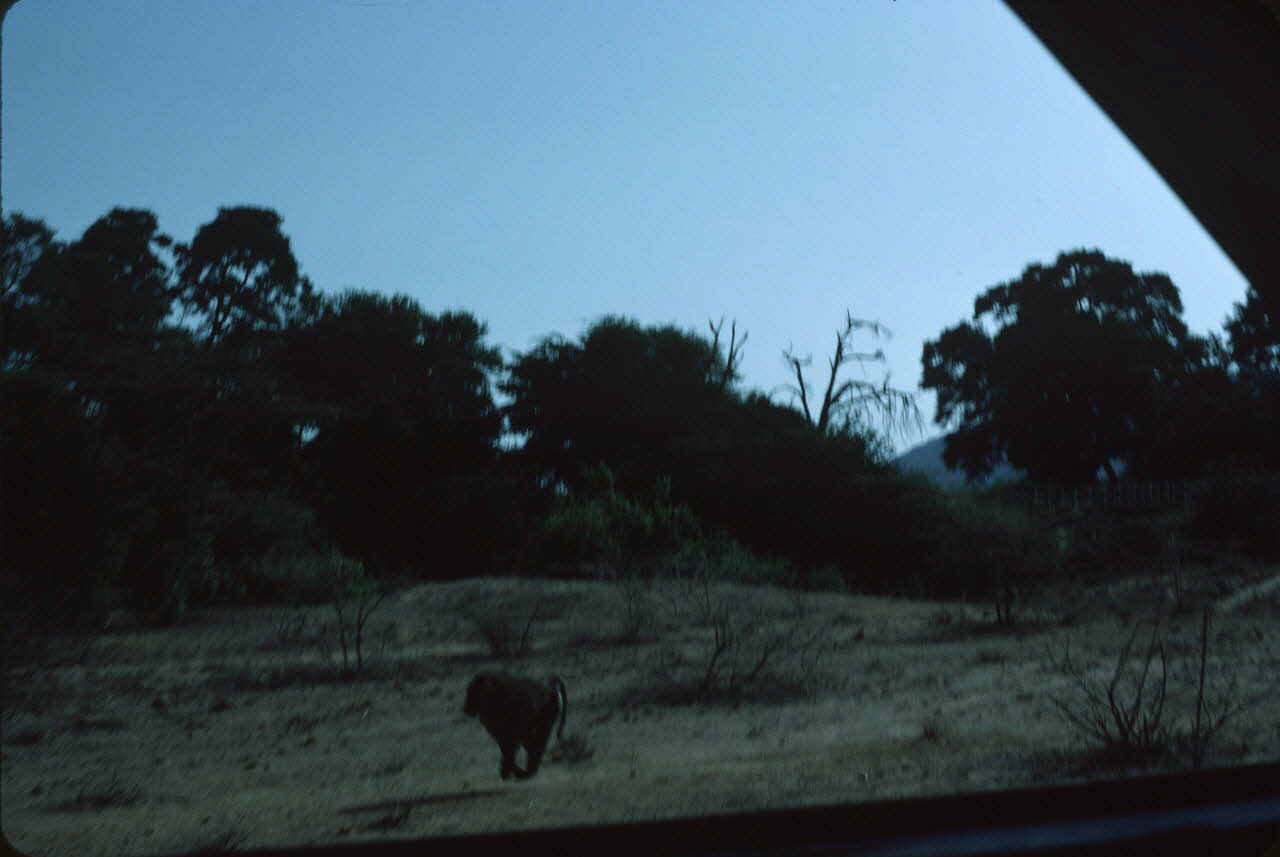 photographie Enquête conduite par Jean Cuisenier au Kenya Ph.1984.79.48 Photo